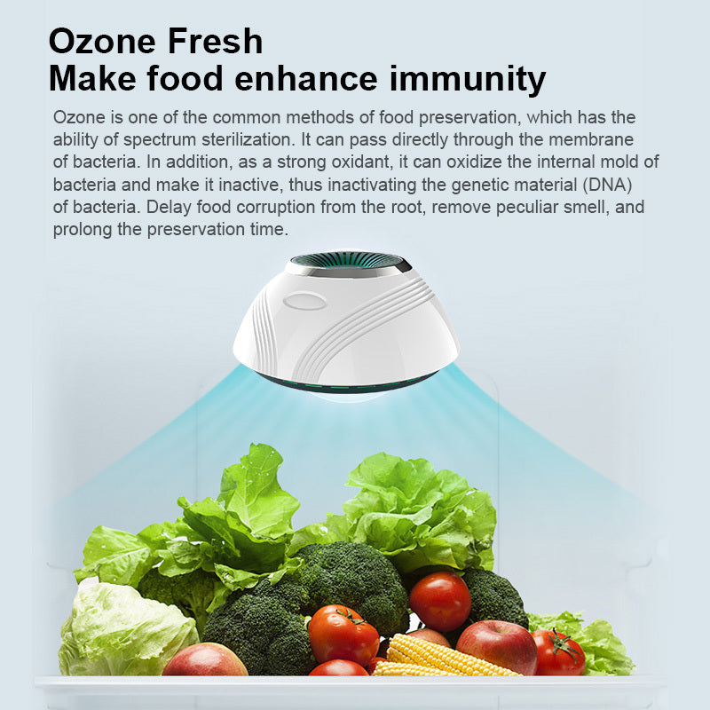 Refrigerator Deodorizer Air Purifier Household Ozone Sterilization Deodorization Box Artifact