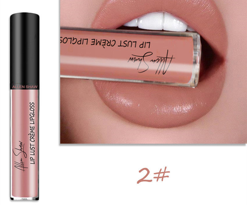 Silky Cream Texture Lip Gloss | Long-Lasting, High-Shine Lip Glaze | GadgetryUK