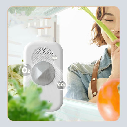 Refrigerator Deodorizer Household Refrigerator Purifier Car Ozone Sterilization Disinfection Odor Removal