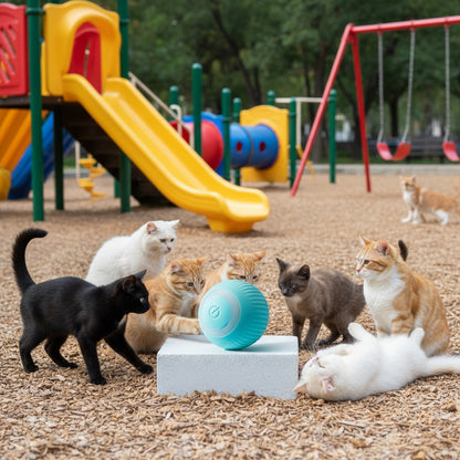 Rechargeable gravity electric rolling ball pet toy in blue silicone with USB charging cable