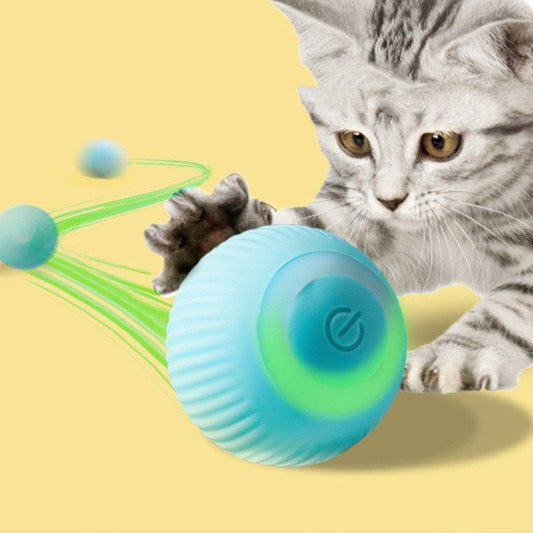 Cat playing with a blue rechargeable gravity electric rolling ball pet toy
