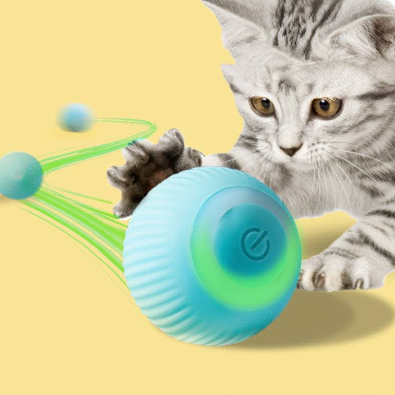 Cat playing with blue USB rechargeable rolling ball pet toy