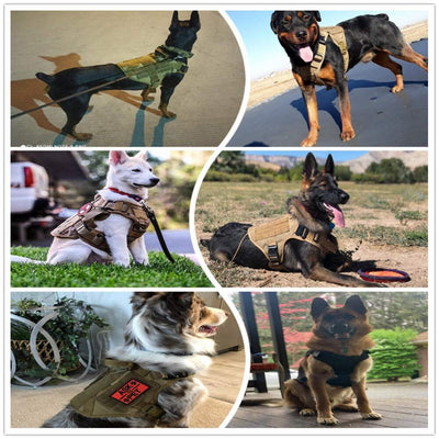 Metal Buckle Tactical Dog Harness & Lead-5